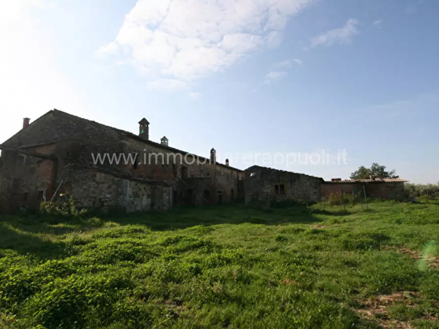 Immagine 10 di Rustico / casale in vendita  a Asciano