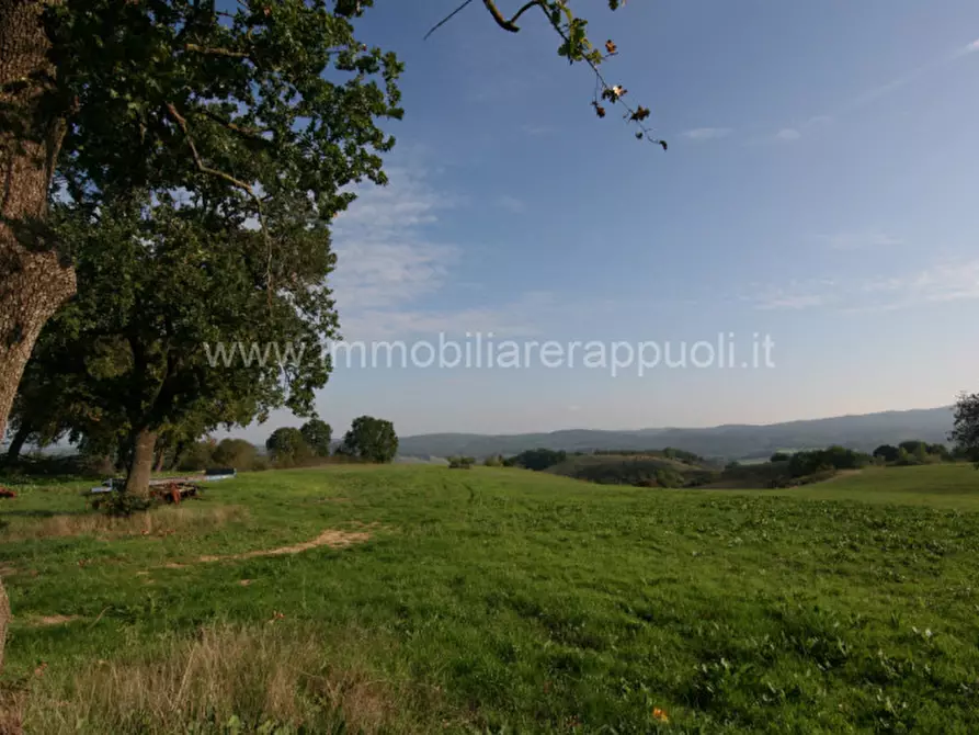 Immagine 11 di Rustico / casale in vendita  a Asciano