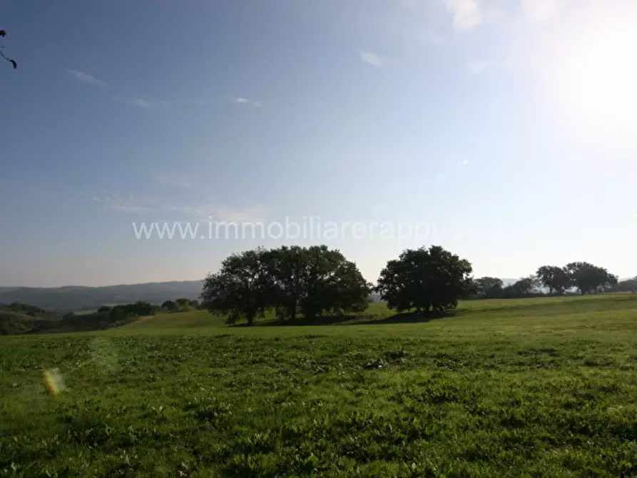 Immagine 12 di Rustico / casale in vendita  a Asciano