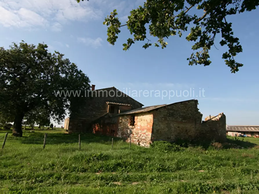 Immagine 13 di Rustico / casale in vendita  a Asciano