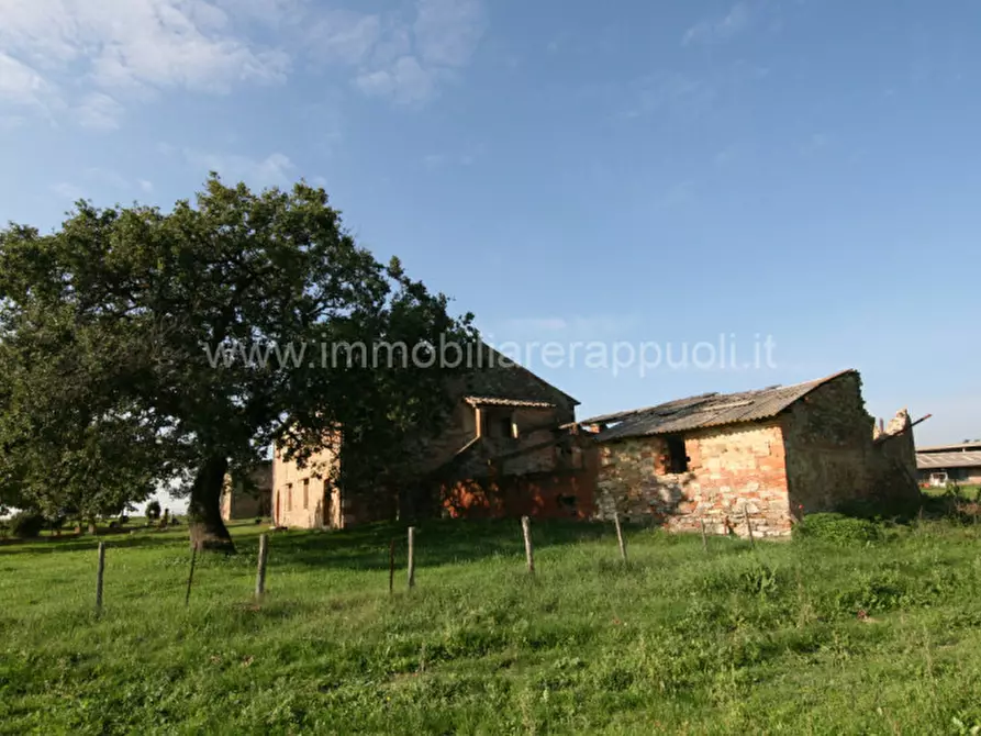 Immagine 14 di Rustico / casale in vendita  a Asciano