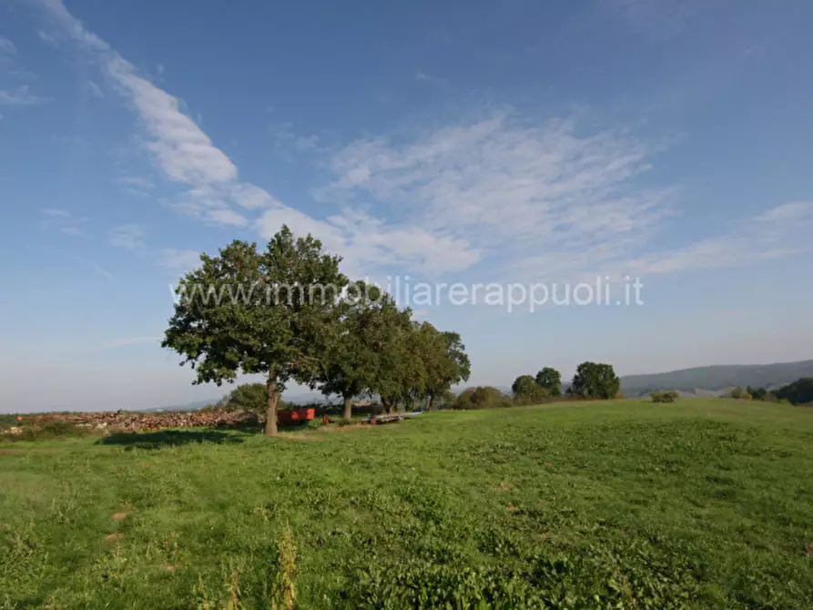 Immagine 15 di Rustico / casale in vendita  a Asciano