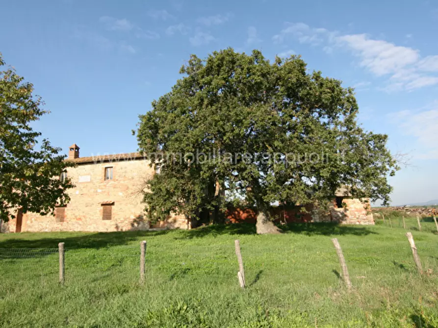 Immagine 16 di Rustico / casale in vendita  a Asciano