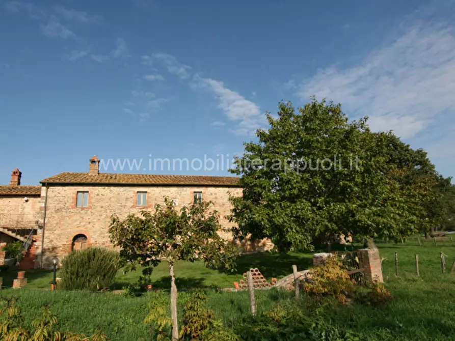 Immagine 17 di Rustico / casale in vendita  a Asciano