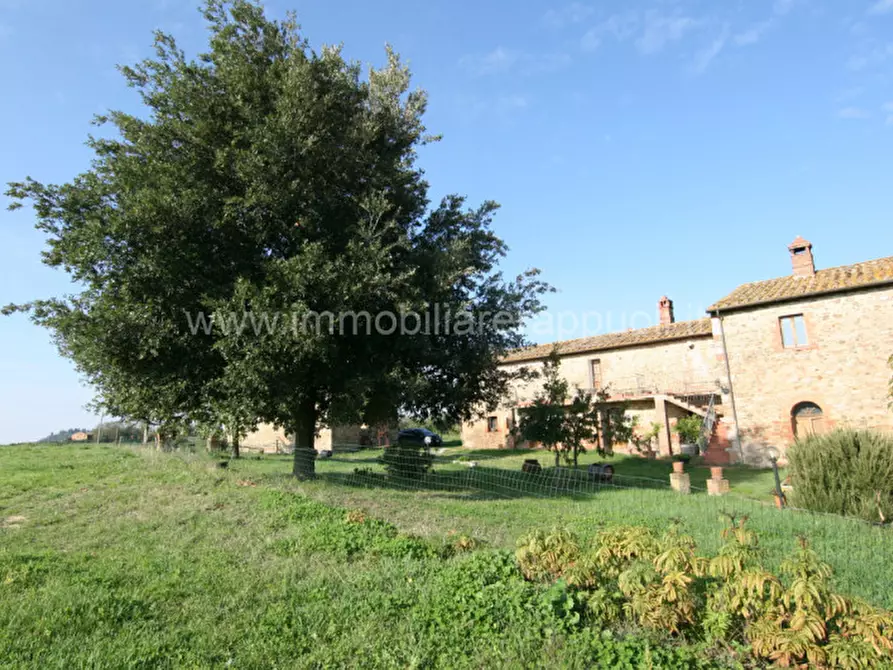 Immagine 18 di Rustico / casale in vendita  a Asciano