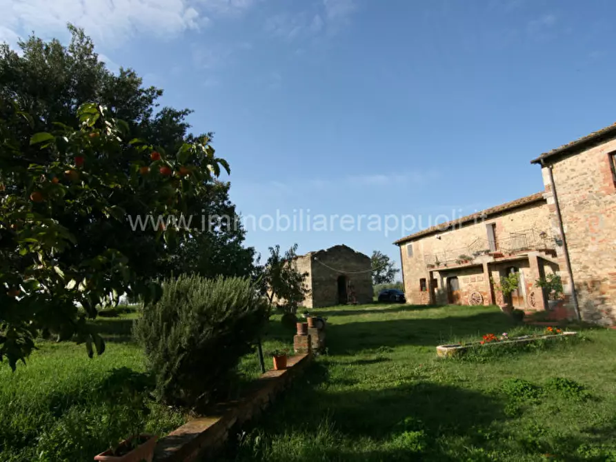Immagine 19 di Rustico / casale in vendita  a Asciano