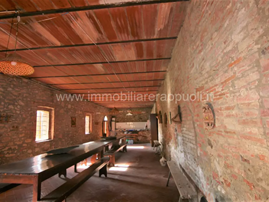 Immagine 24 di Rustico / casale in vendita  a Asciano