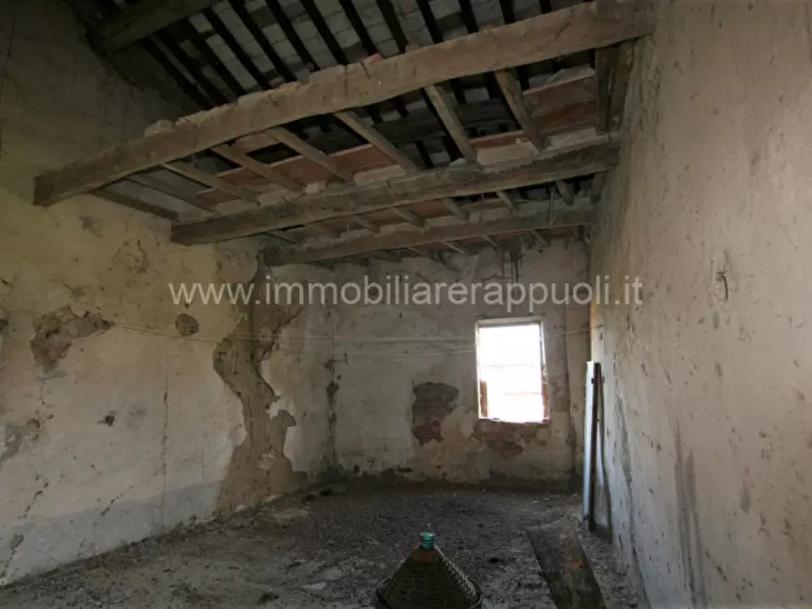 Immagine 25 di Rustico / casale in vendita  a Asciano