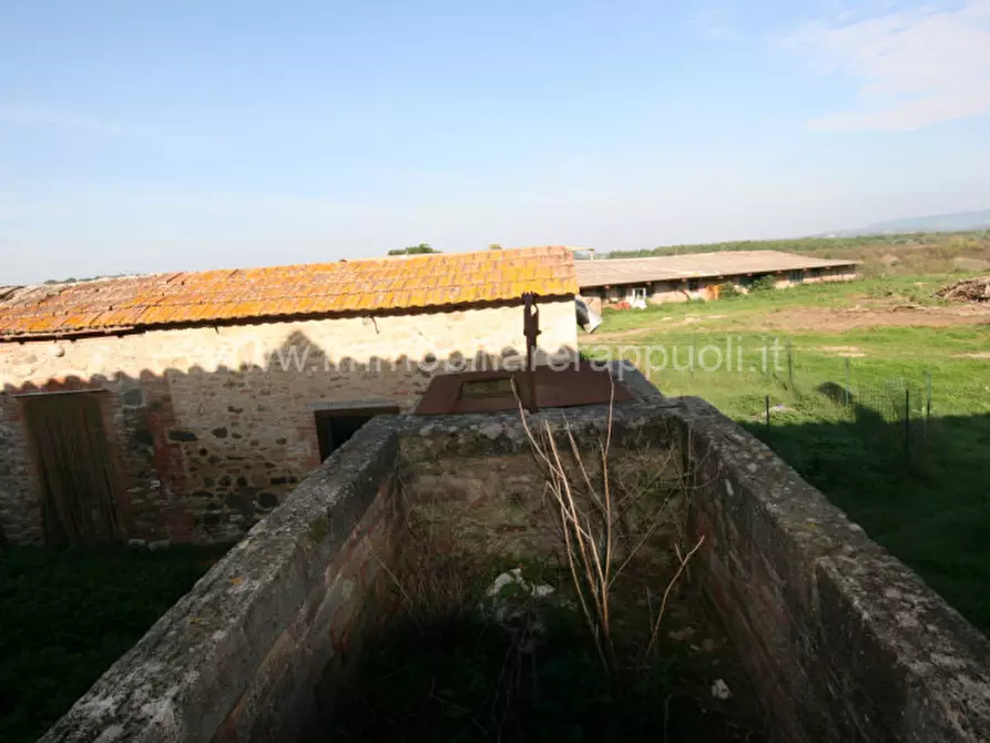 Immagine 28 di Rustico / casale in vendita  a Asciano