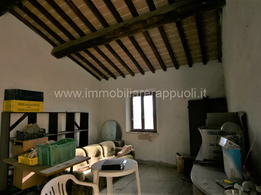 Immagine 30 di Rustico / casale in vendita  a Asciano