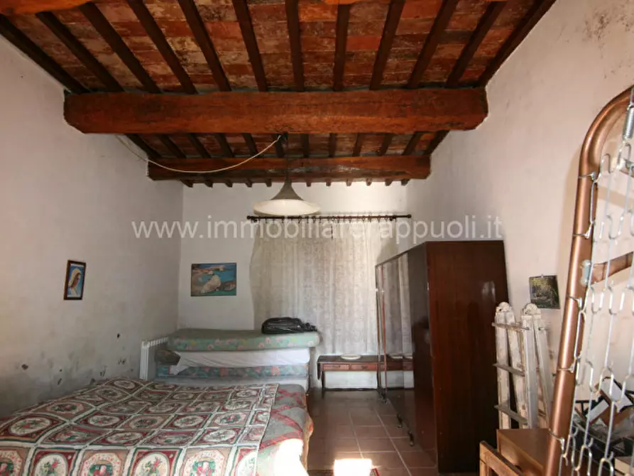 Immagine 40 di Rustico / casale in vendita  a Asciano