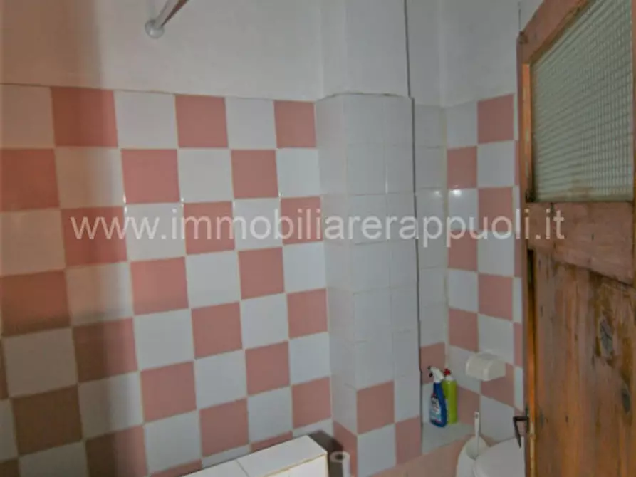 Immagine 41 di Rustico / casale in vendita  a Asciano