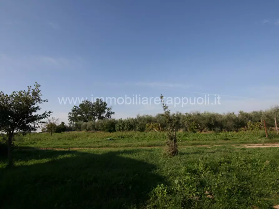 Immagine 42 di Rustico / casale in vendita  a Asciano
