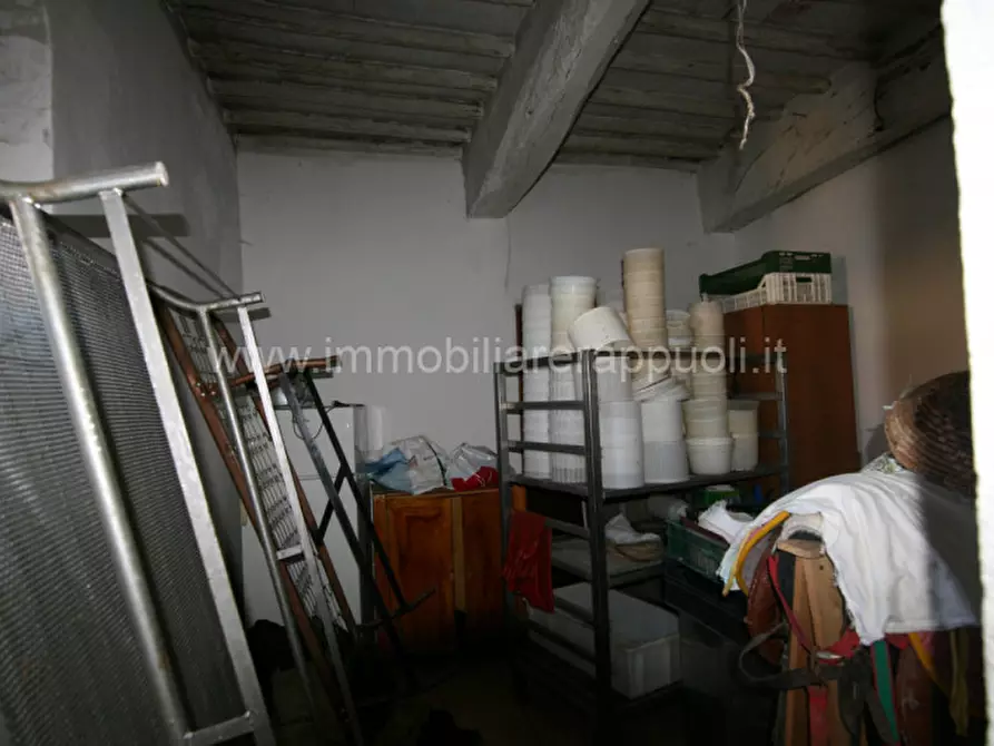 Immagine 44 di Rustico / casale in vendita  a Asciano