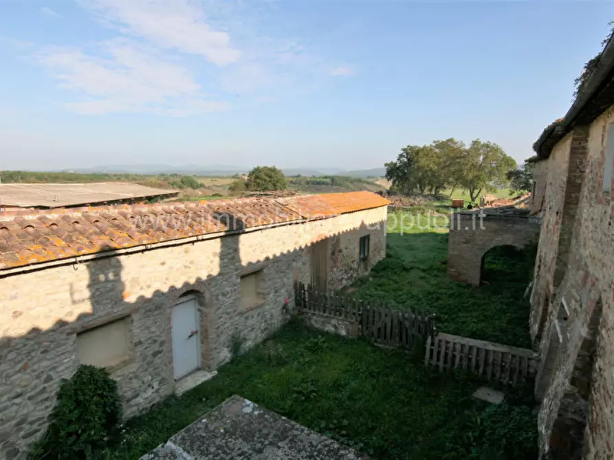 Immagine 45 di Rustico / casale in vendita  a Asciano