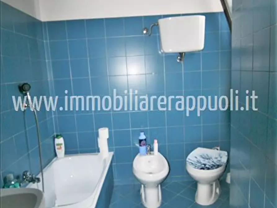 Immagine 7 di Appartamento in vendita  a Sinalunga