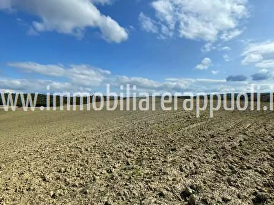 Immagine 1 di Terreno in vendita  a Pienza