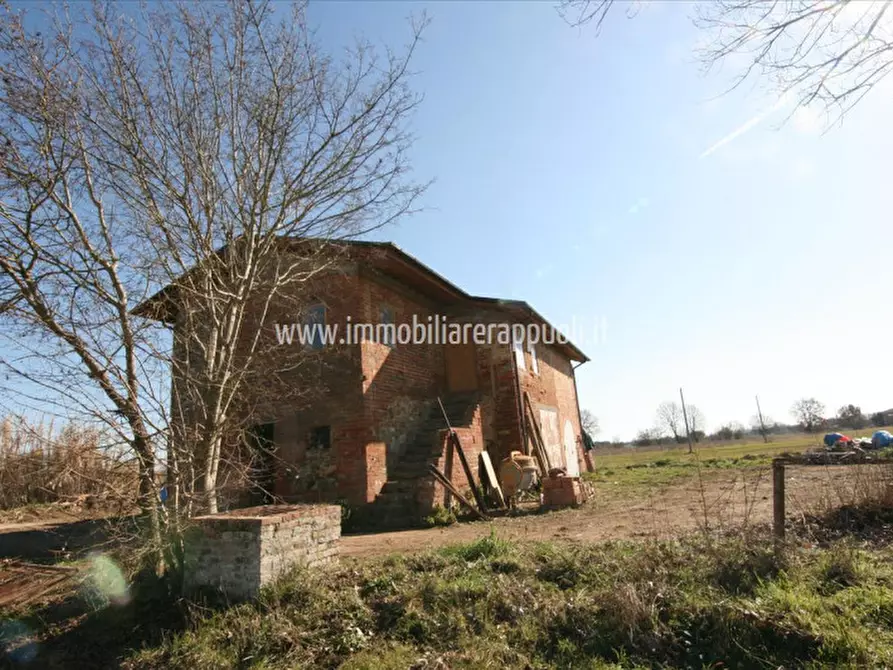 Immagine 3 di Rustico / casale in vendita  a Sinalunga