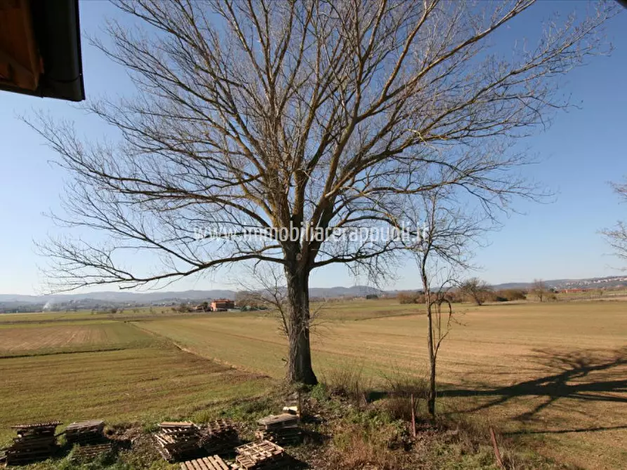 Immagine 5 di Rustico / casale in vendita  a Sinalunga