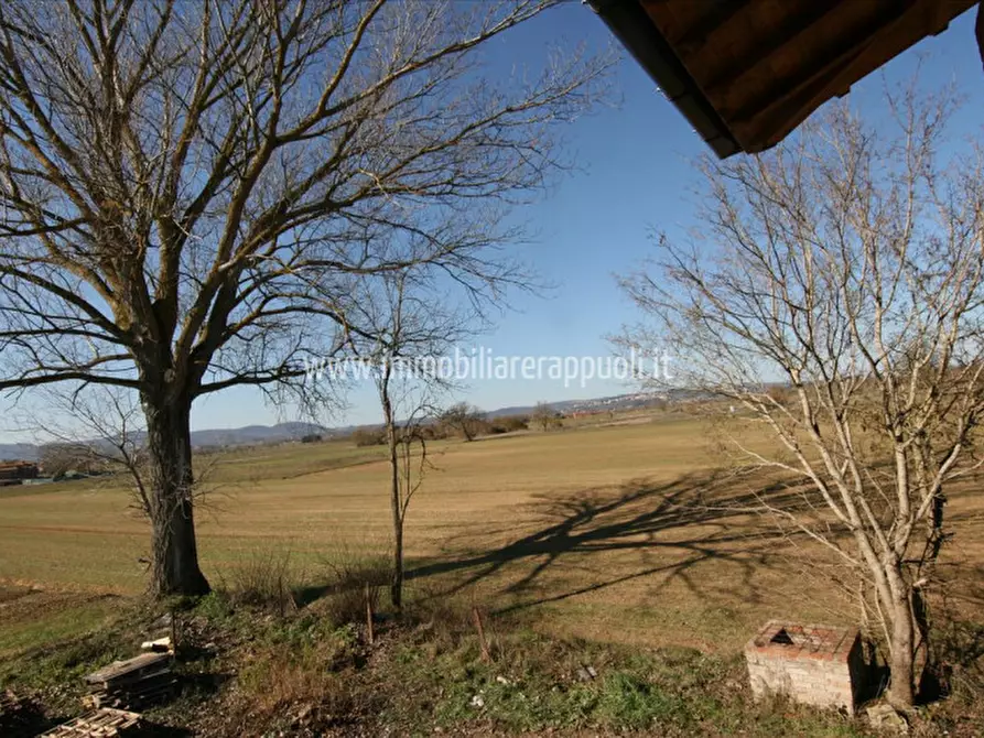 Immagine 6 di Rustico / casale in vendita  a Sinalunga