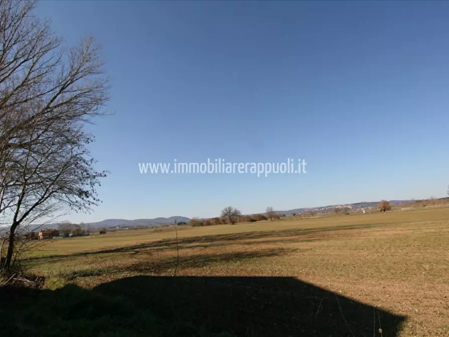 Immagine 13 di Rustico / casale in vendita  a Sinalunga