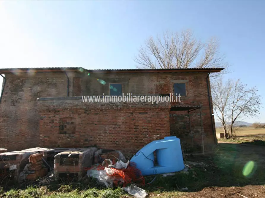 Immagine 14 di Rustico / casale in vendita  a Sinalunga