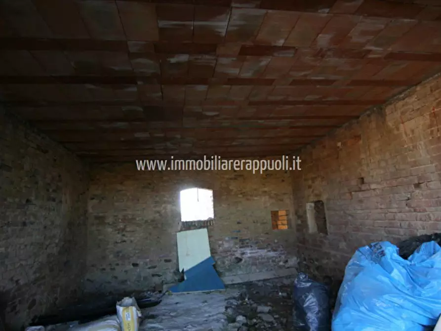 Immagine 15 di Rustico / casale in vendita  a Sinalunga