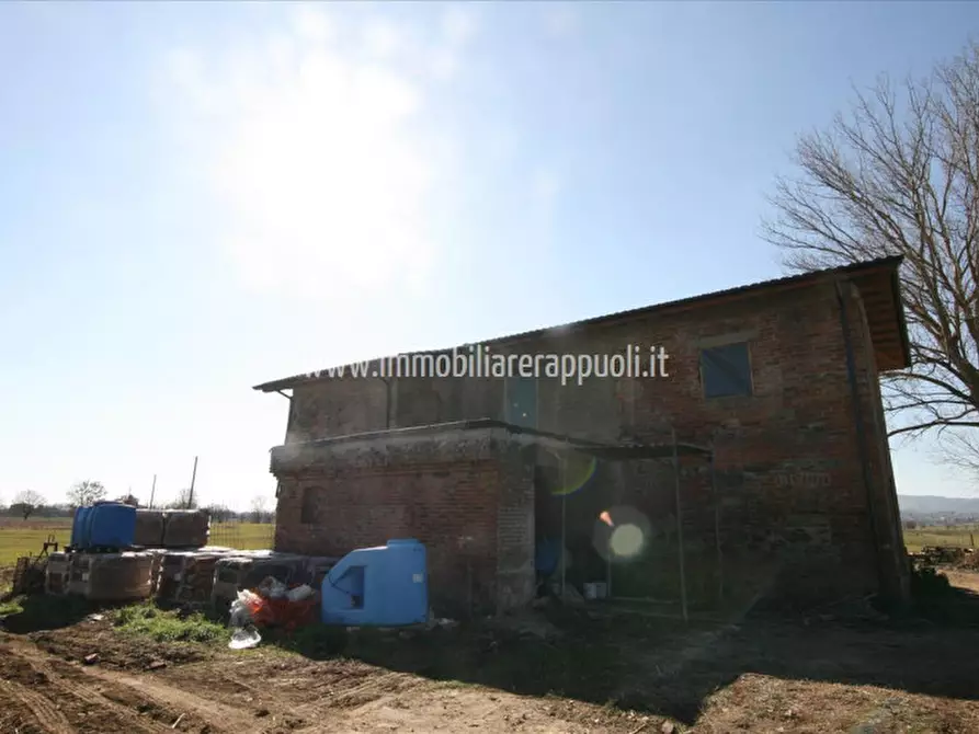 Immagine 16 di Rustico / casale in vendita  a Sinalunga