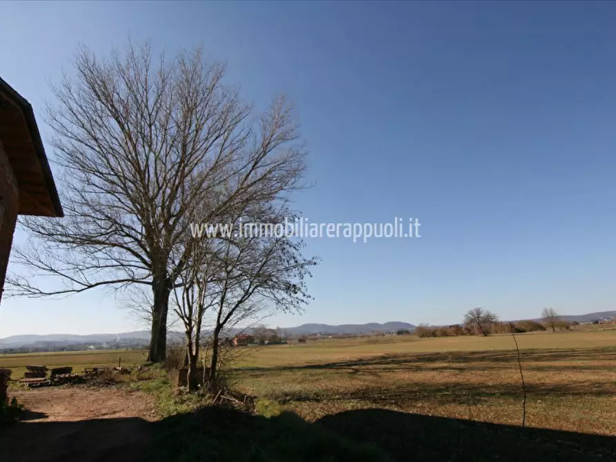 Immagine 17 di Rustico / casale in vendita  a Sinalunga