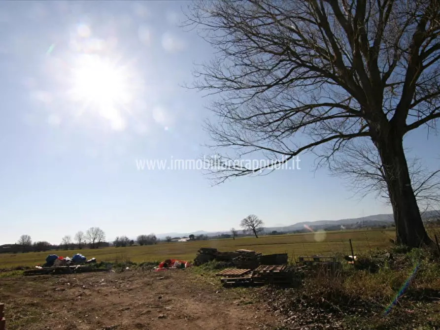 Immagine 19 di Rustico / casale in vendita  a Sinalunga