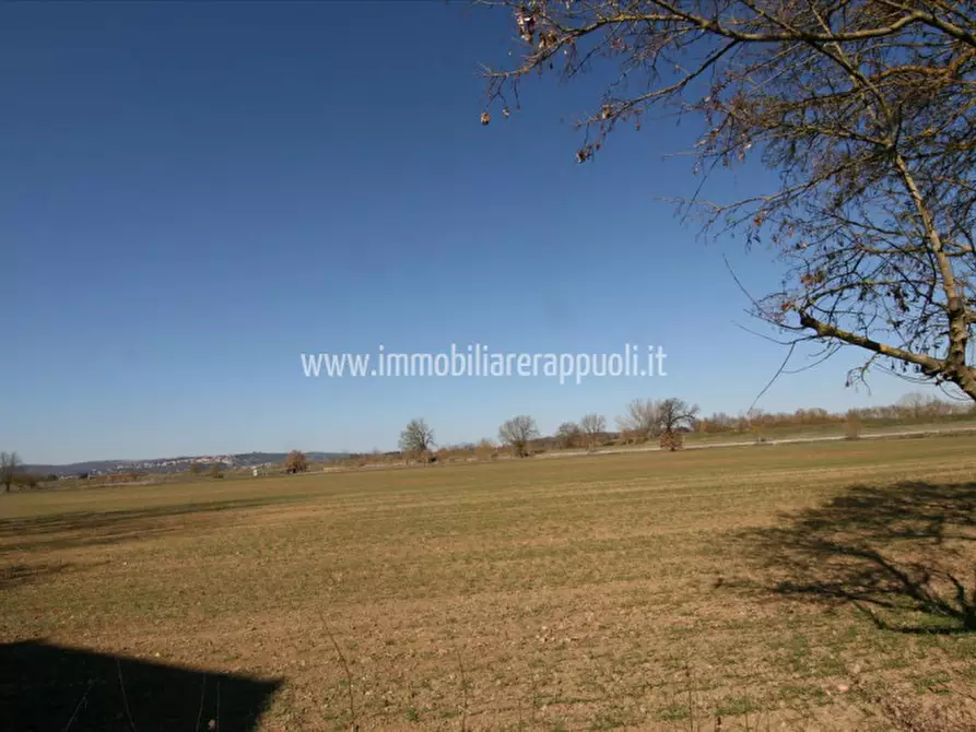 Immagine 20 di Rustico / casale in vendita  a Sinalunga