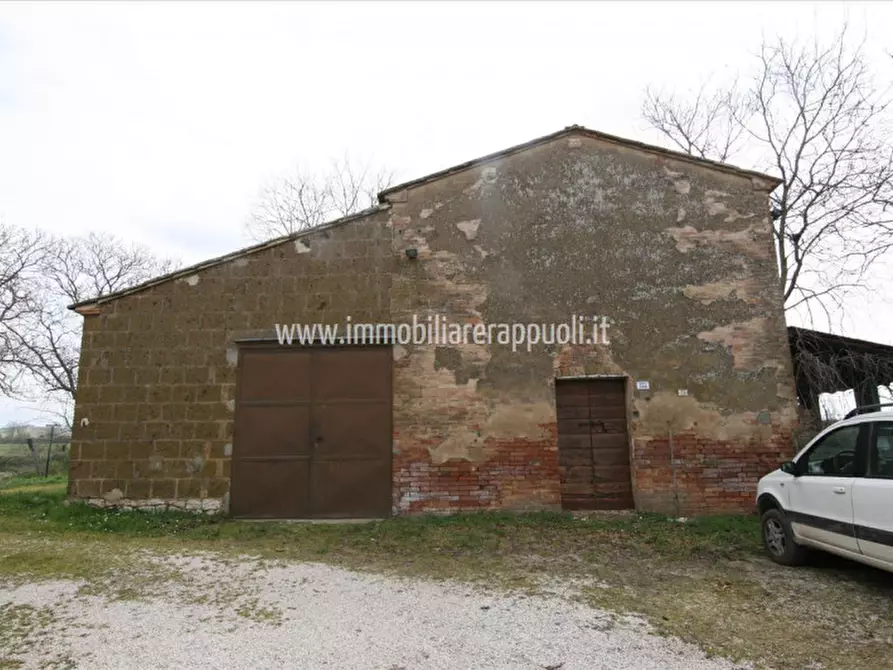 Immagine 28 di Rustico / casale in vendita  a Montepulciano
