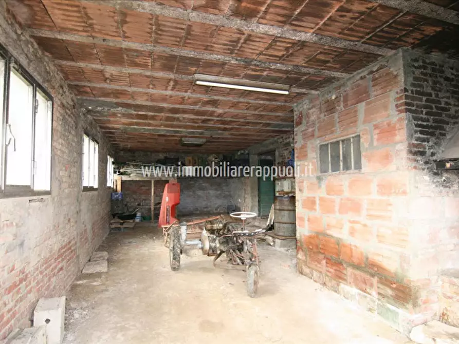 Immagine 11 di Casa indipendente in vendita  a Lucignano