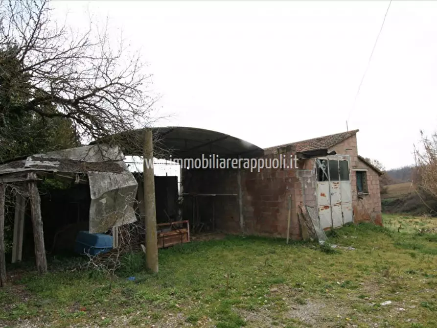 Immagine 13 di Casa indipendente in vendita  a Lucignano