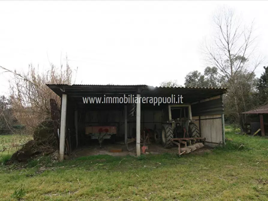 Immagine 14 di Casa indipendente in vendita  a Lucignano