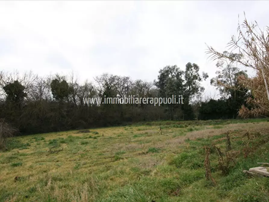 Immagine 15 di Casa indipendente in vendita  a Lucignano