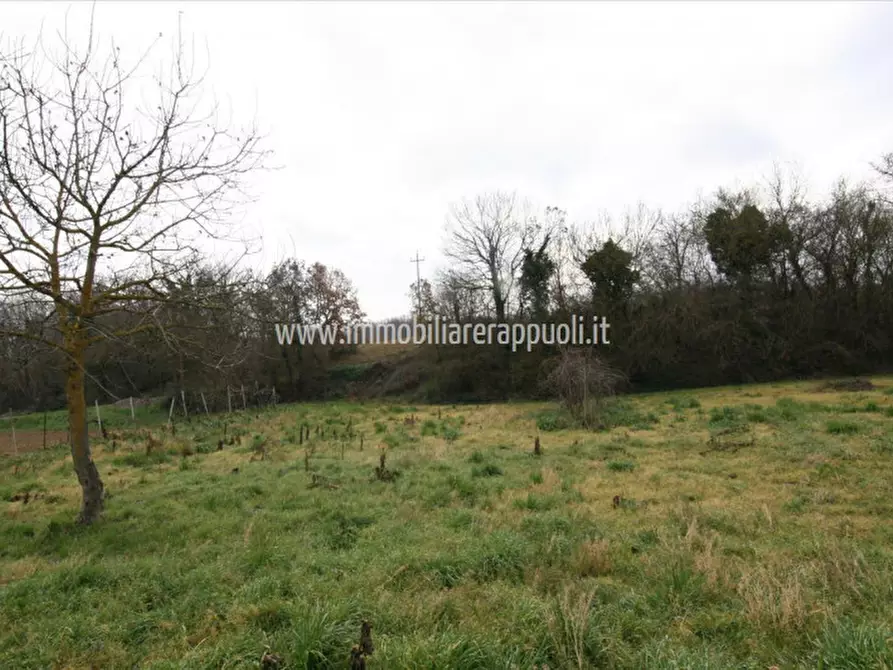 Immagine 17 di Casa indipendente in vendita  a Lucignano