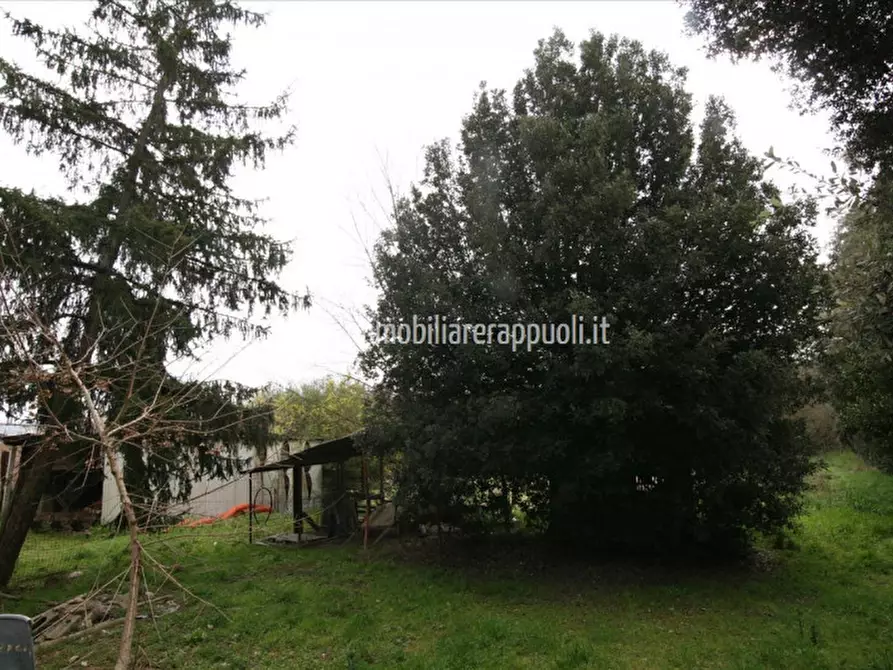 Immagine 18 di Casa indipendente in vendita  a Lucignano