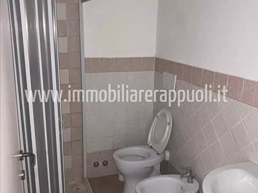 Immagine 8 di Appartamento in vendita  a Lucignano