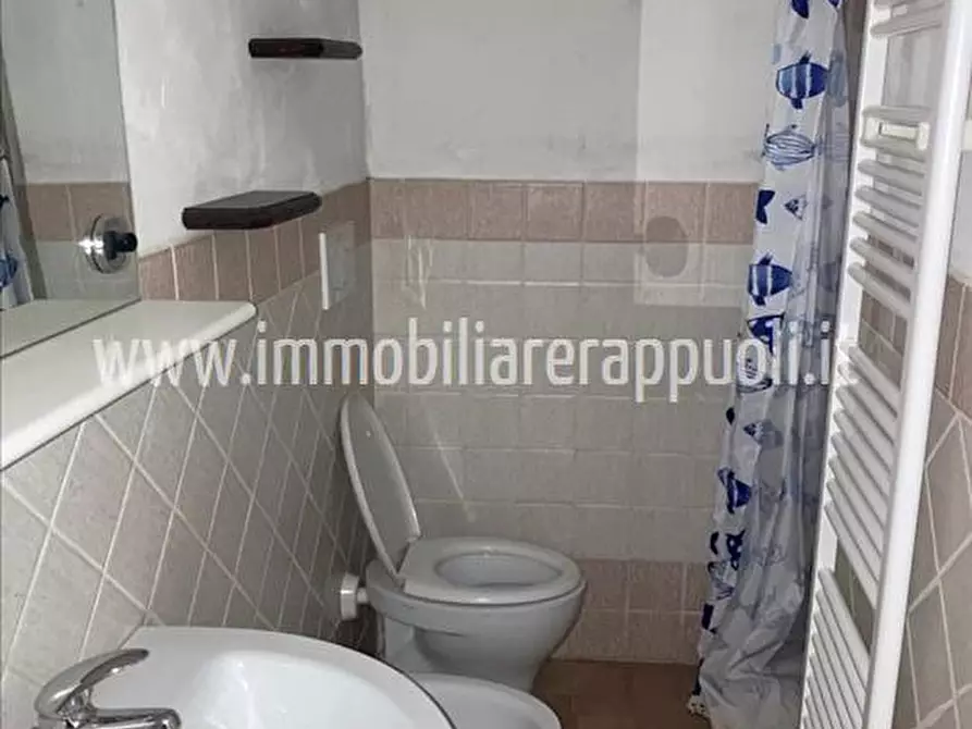 Immagine 11 di Appartamento in vendita  a Lucignano