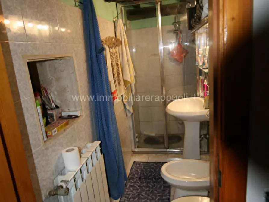 Immagine 11 di Appartamento in vendita  a Trequanda