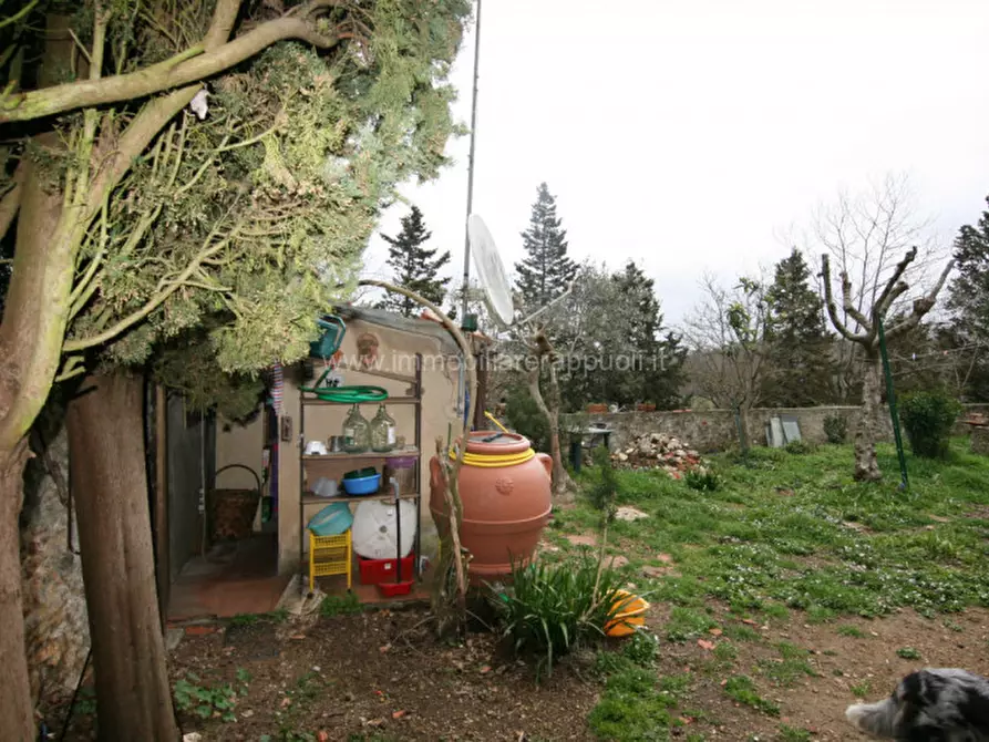 Immagine 13 di Appartamento in vendita  a Trequanda