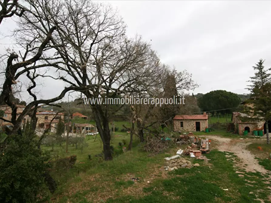 Immagine 12 di Casa indipendente in vendita  a Lucignano