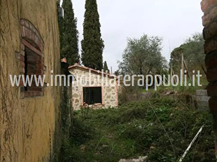 Immagine 13 di Rustico / casale in vendita  a Lucignano