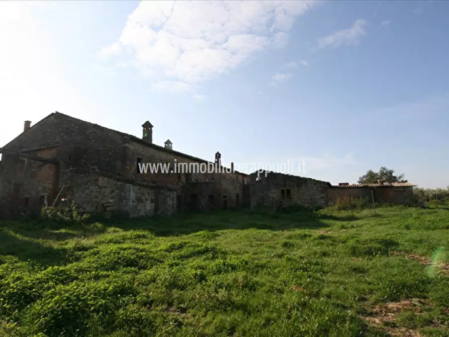 Immagine 2 di Rustico / casale in vendita  a Asciano
