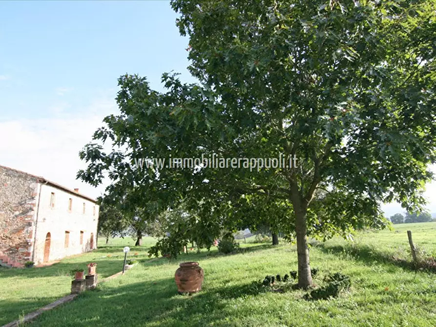 Immagine 3 di Rustico / casale in vendita  a Asciano