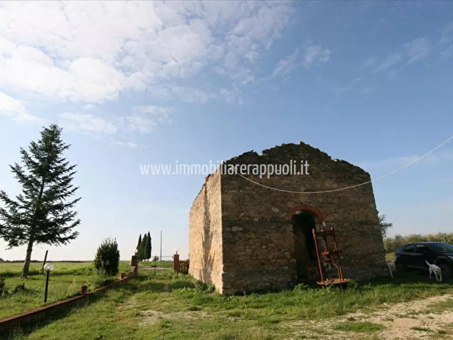 Immagine 4 di Rustico / casale in vendita  a Asciano