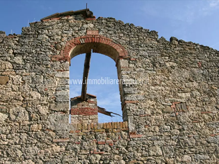 Immagine 6 di Rustico / casale in vendita  a Asciano