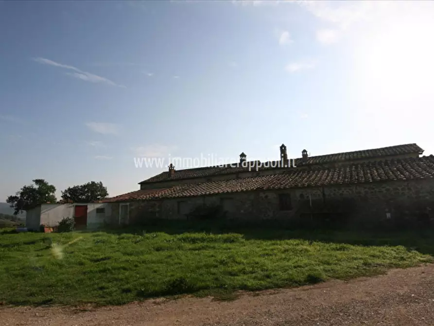 Immagine 8 di Rustico / casale in vendita  a Asciano