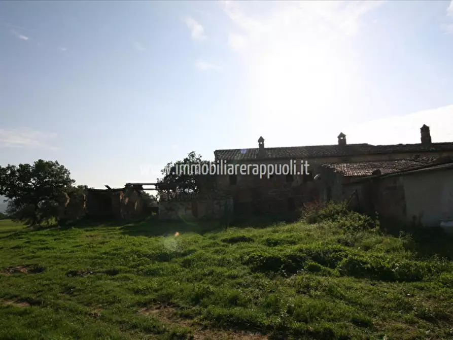 Immagine 9 di Rustico / casale in vendita  a Asciano